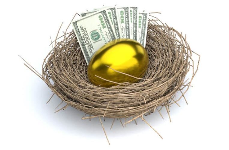 Nest Egg With Money