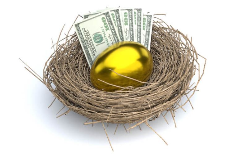 Nest Egg With Money
